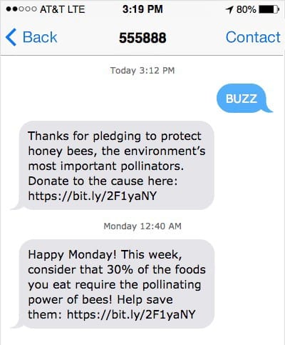 Text-to-Donate Autoresponders
