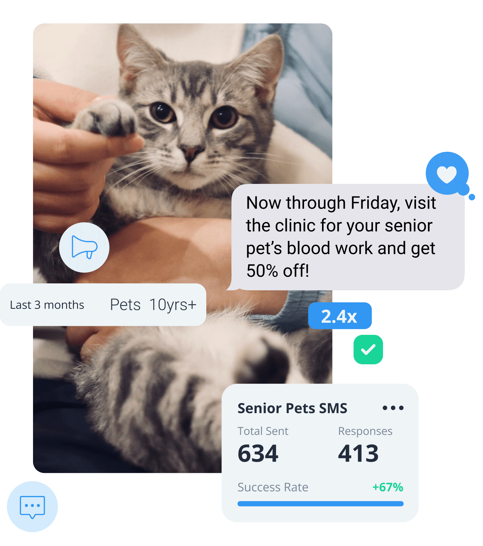 SMS marketing agency campaign for veterinarian clinic