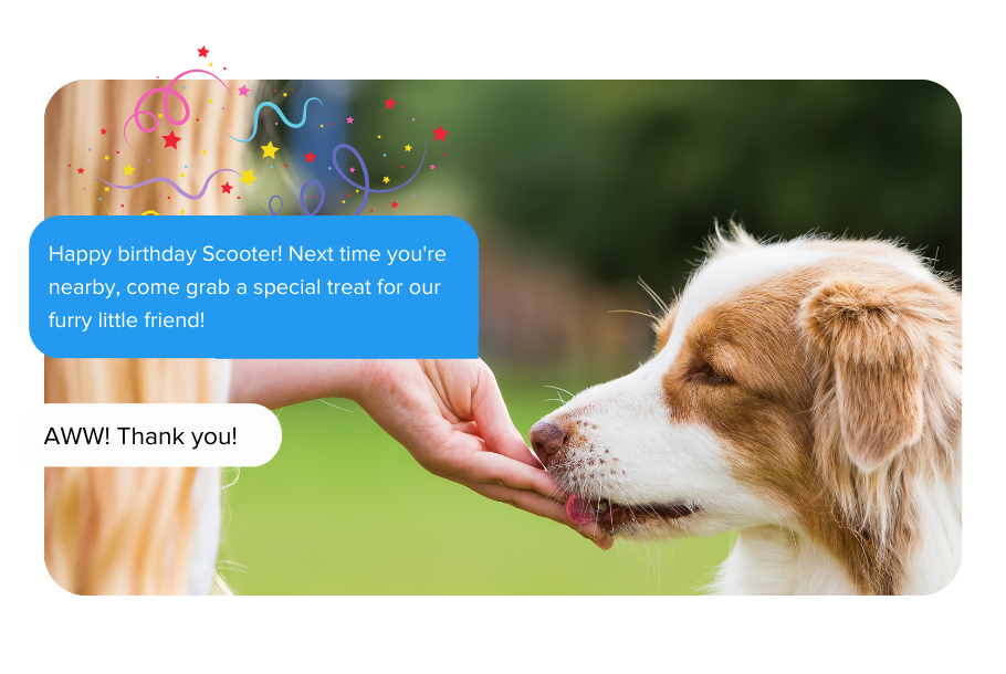 Text message marketing pet birthday wishes example