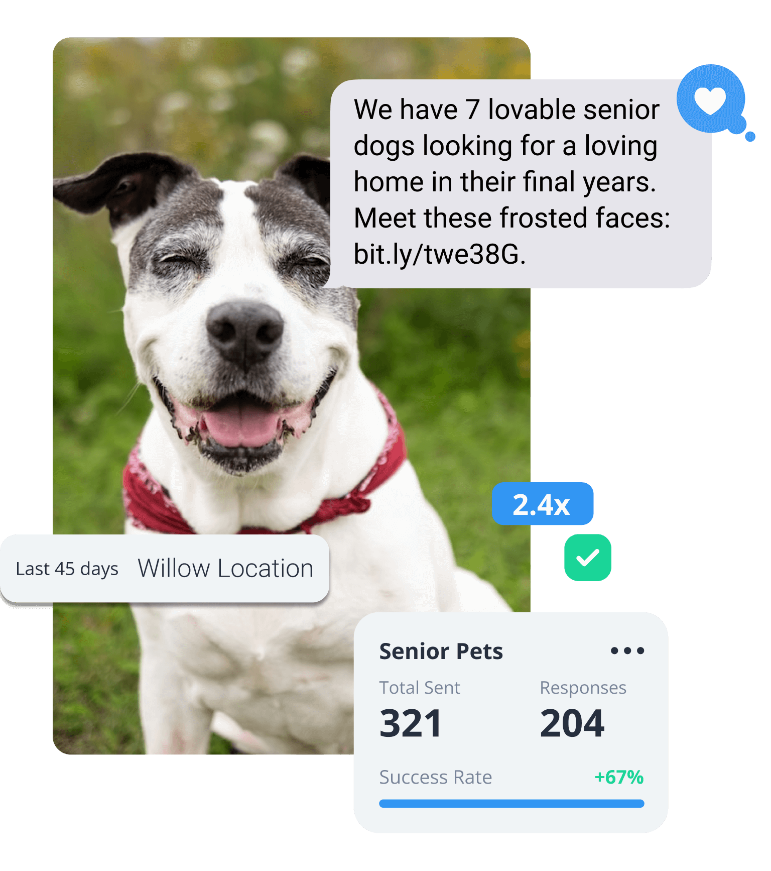 text message campaign from nonprofit pet rescue