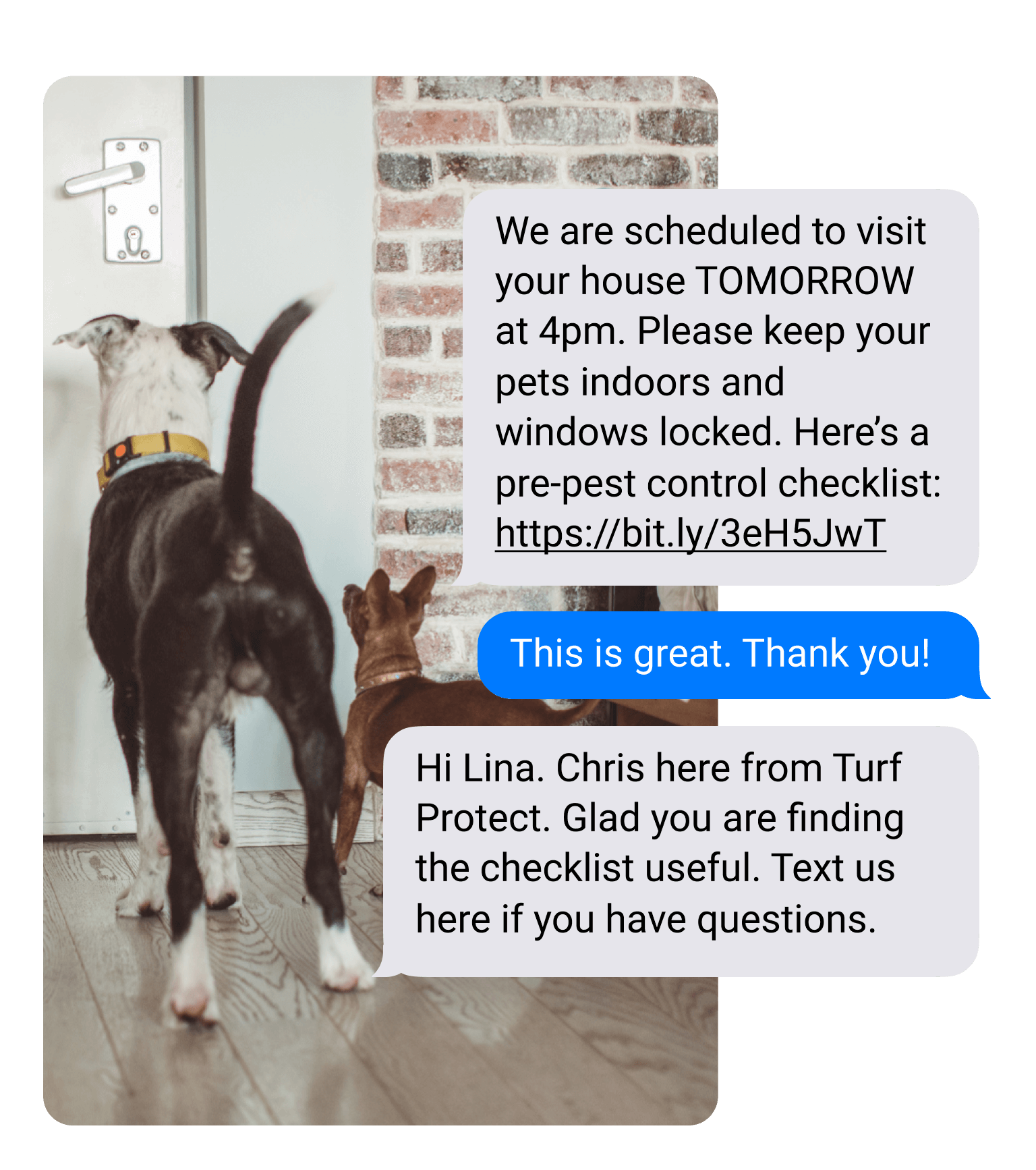 home services company text message campaign about pets