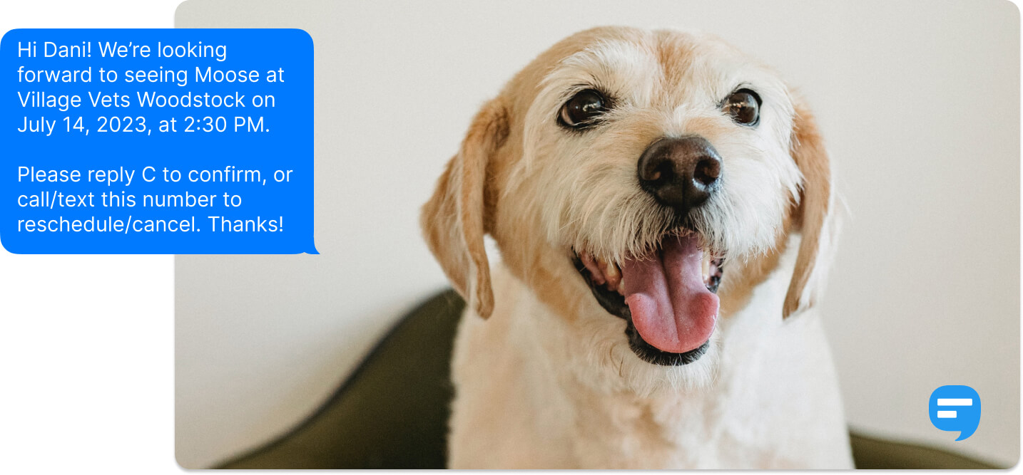 Appointment Confirmation Texts Examples & How to Craft One